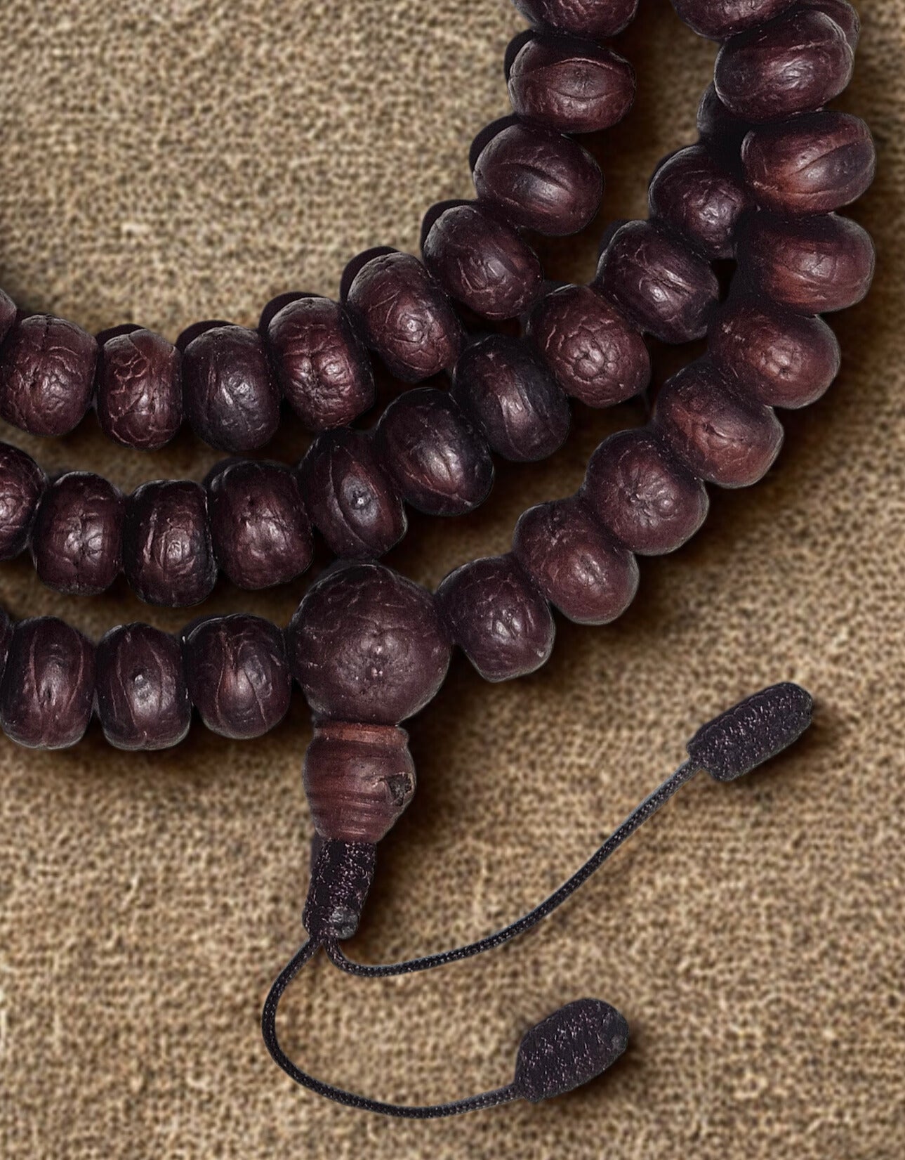 Seed